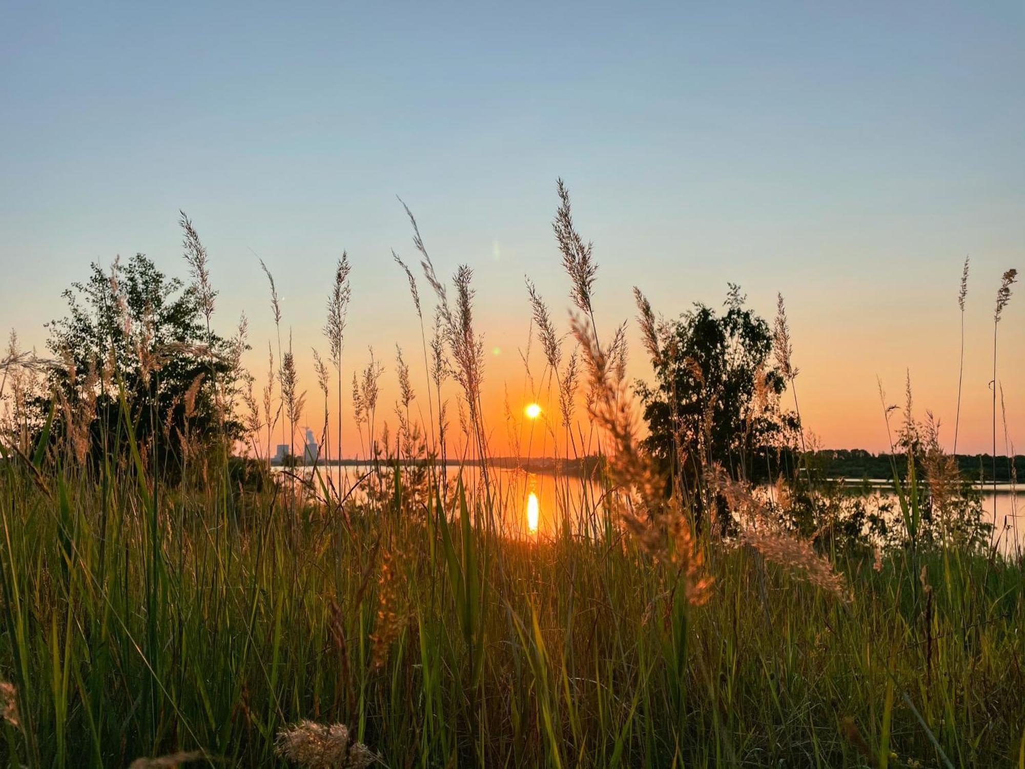 Haus Im Schilf 1 - Ferienwohnungen Am Hainer See Bei Leipzig Neukieritzsch ภายนอก รูปภาพ