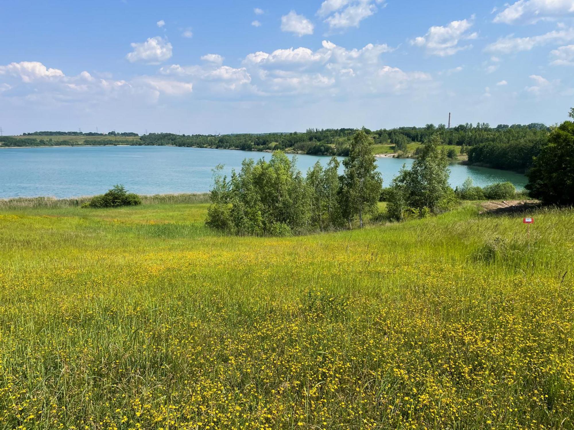 Haus Im Schilf 1 - Ferienwohnungen Am Hainer See Bei Leipzig Neukieritzsch ภายนอก รูปภาพ